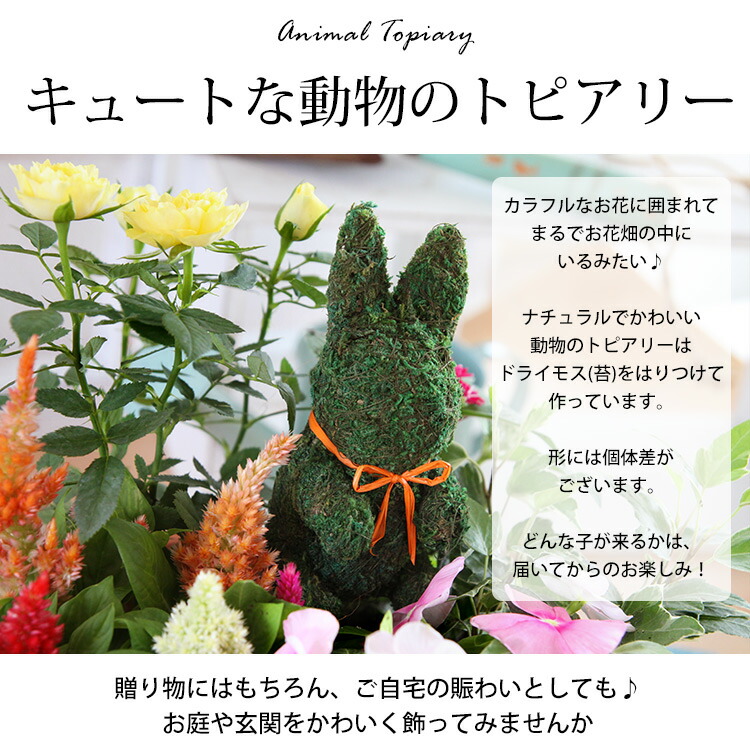 寄せ植え お花畑みたい トピアリーの寄せ植え 鉢植え プレゼント