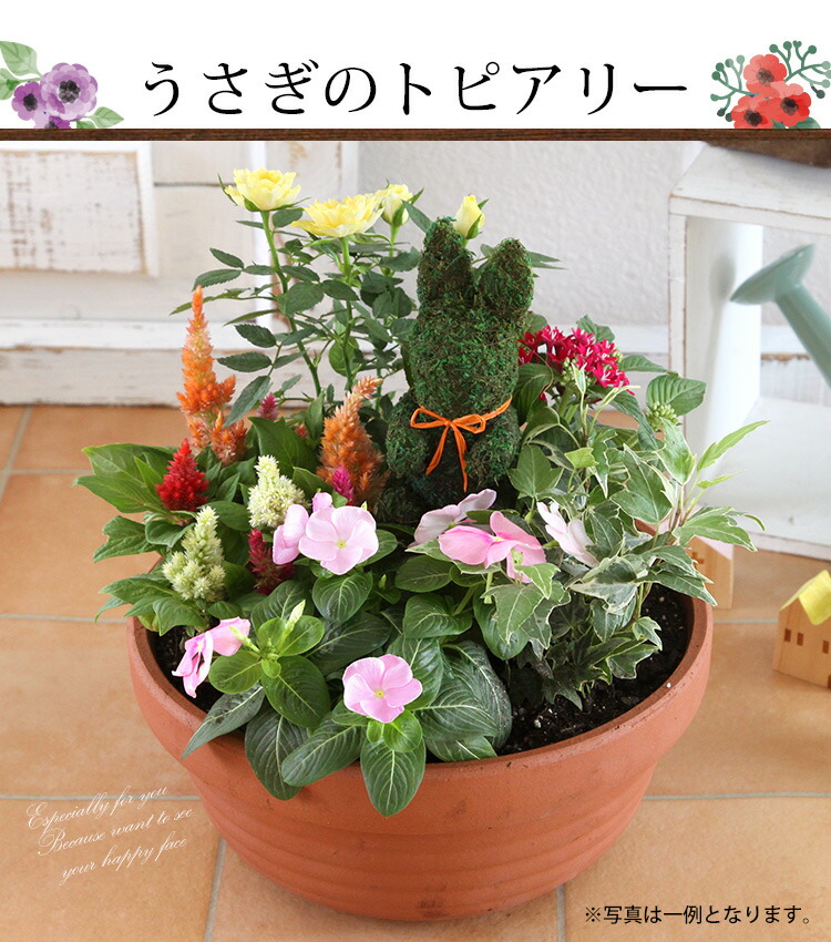 寄せ植え お花畑みたい トピアリーの寄せ植え 鉢植え プレゼント お祝い 花 誕生日 ご自宅用 開店祝い 新築祝い 引っ越し祝い : hoy1104  : フラワーマーケット花由 - 通販 - Yahoo!ショッピング