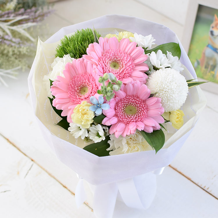 花 誕生日 プレゼント 女性 母 祖母 結婚祝い 退職祝い 送別会 還暦祝い 成人式 お祝い 花束 フラワーギフト 花瓶不要 そのままブーケ Kisb0801 フラワーマーケット花由 通販 Yahoo ショッピング 花 誕生日 プレゼント 女性 母 祖母 結婚祝い 退職祝い 送別会 還暦祝い 成人式 お祝い 花束 フラワーギフト 花瓶不要 そのままブーケ Kisb0801 フラワーマーケット花由 通販 Yahoo ショッピング