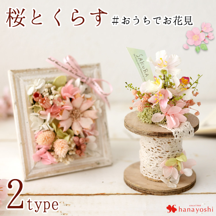 さくらのアレンジ ボビンアレンジ フレームアレンジ アーティフィシャルフラワー ソラフラワー プリザーブドフラワー 春 桜 卒業祝い 誕生日 プレゼント  : so2304 : フラワーマーケット花由 - 通販 - Yahoo!ショッピング