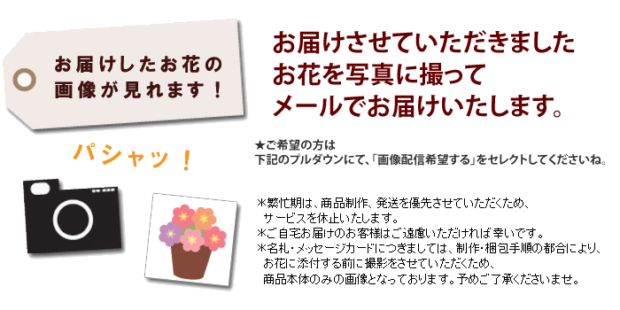 花束 ギフト 誕生日 プレゼント 女性 母 花 退職祝い 送別会 敬老の日 フラワーギフト 贈り物 季節のおまかせブーケ ｓサイズ あすつく対応 フラワーマーケット花由 通販 Paypayモール