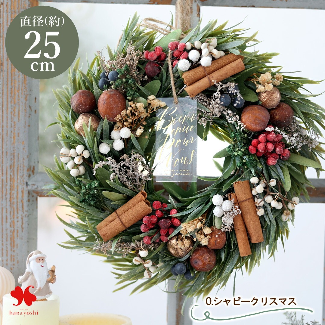 2025 新作 クリスマス リース Mサイズ ドライ ナチュラル 直径約23.5