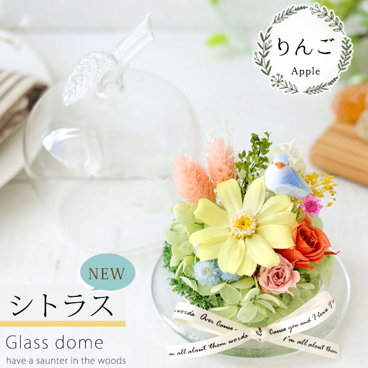 むち子 限定価格 プリザーブドフラワー 花束 ブーケ ガラス