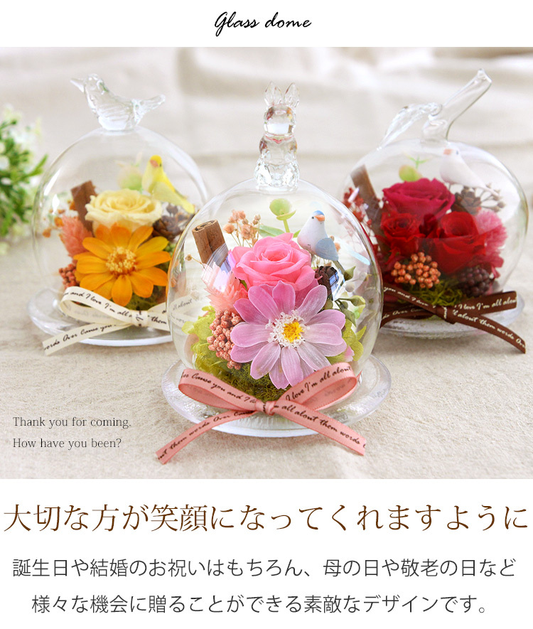 アウトレット品 プリザーブドフラワー プレゼント 幸運のモチーフ付 選べる3種 ガラスドーム バラ 花 誕生日プレゼント 女性 結婚祝い 記念日 退職 祝い フラワーギフト ショップ