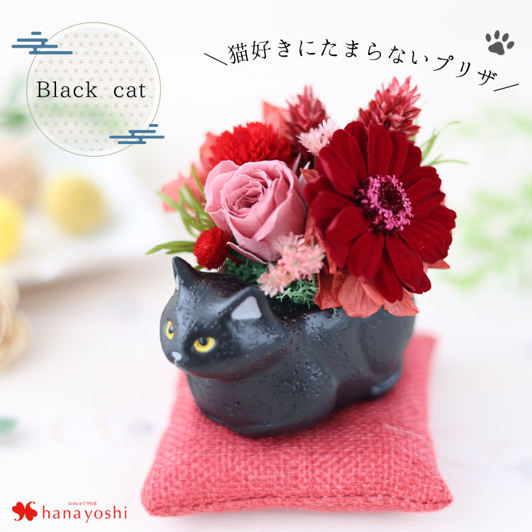 フラワーマーケット花由 プリザーブドフラワー 和風 くつろぎねこ 7