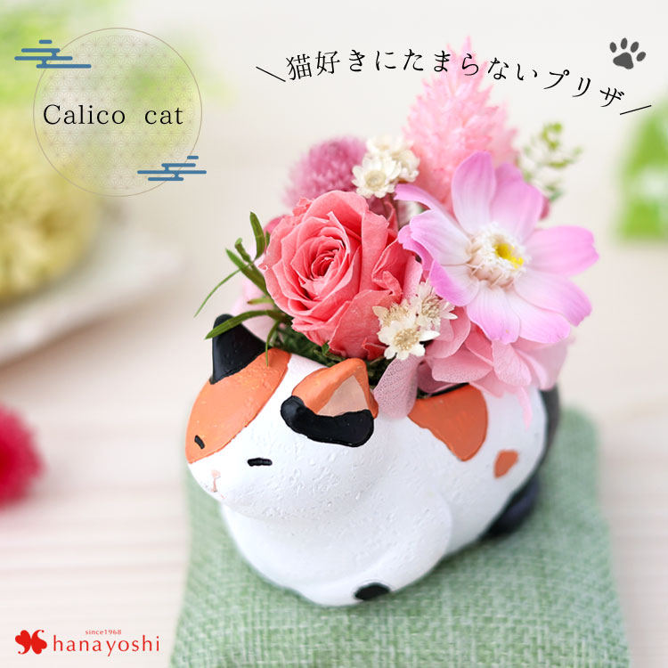 フラワーマーケット花由 プリザーブドフラワー 和風 くつろぎねこ 7