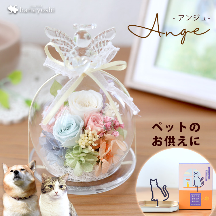 フラワーマーケット花由 プリザーブドフラワー 天使のガラス フラワーマーケット花由 プリザーブドフラワー 天使のガラス