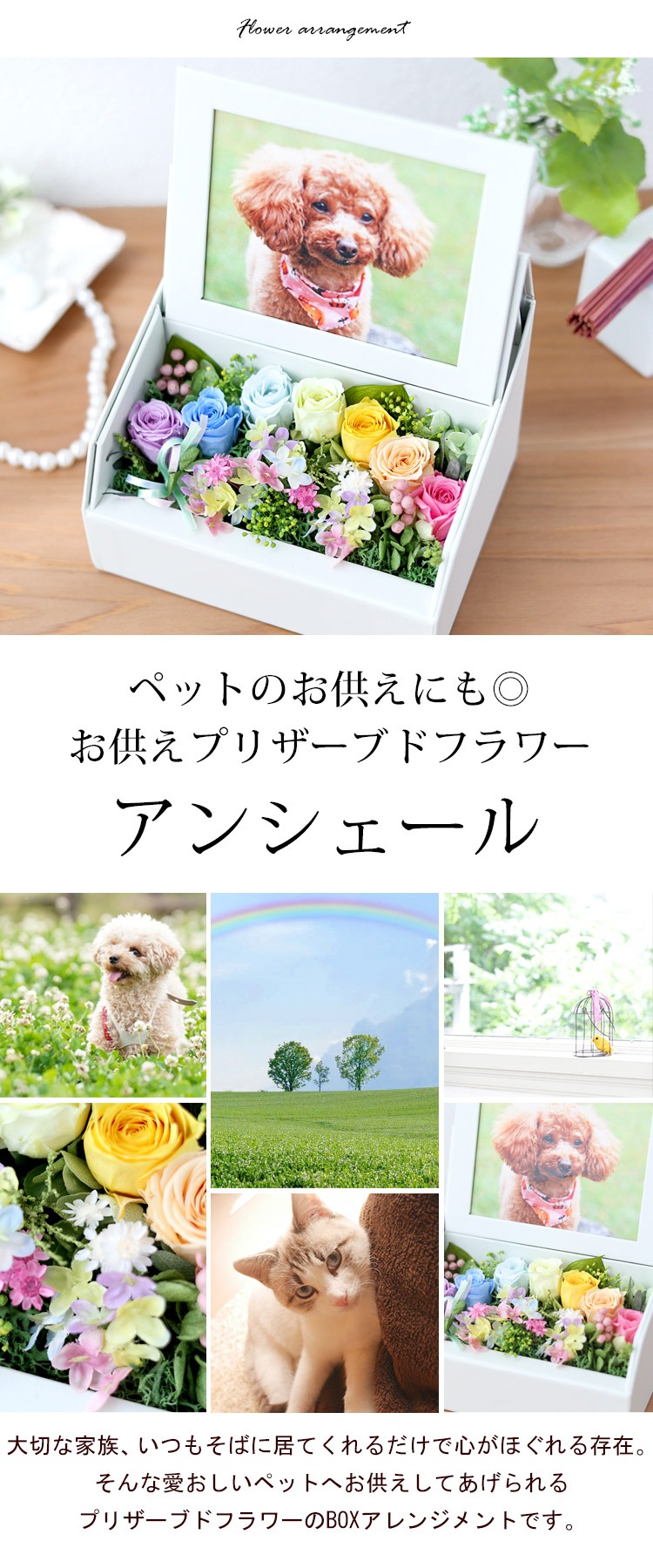 フラワーマーケット花由 ペットのお供え アンシェール お供え