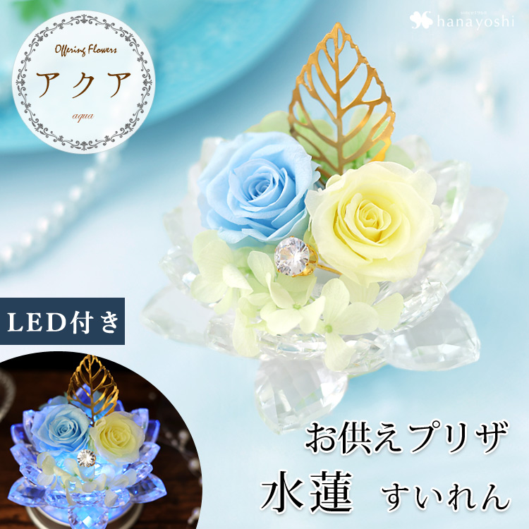 フラワーマーケット花由 プリザーブドフラワー 仏花 お供え 水蓮 フラワーマーケット花由 プリザーブドフラワー 仏花 お供え 水蓮