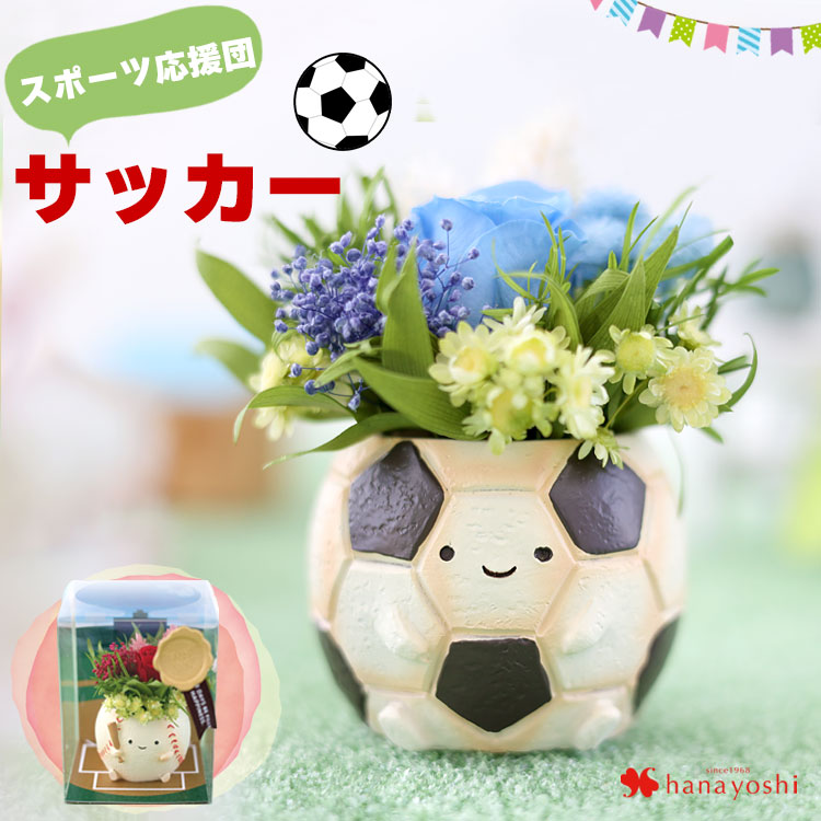 サッカーボール（花、ガーデニング）のおすすめ人気商品一覧 通販