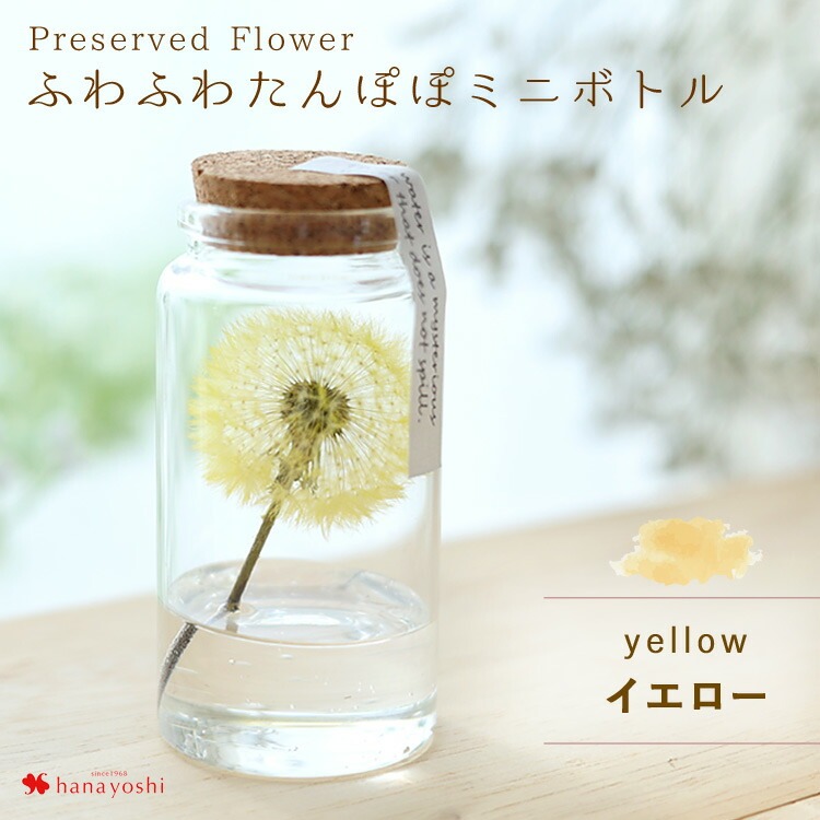 フラワーマーケット花由 ドライフラワー ふわふわたんぽぽミニボトル