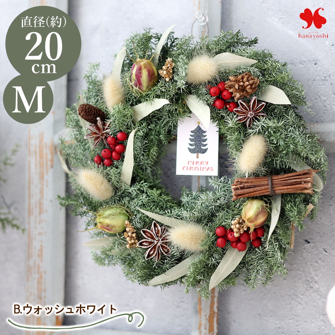 森のリース ＊森の贈り物＊ 直径約20cm ドライ ナチュラル 2種類 天然