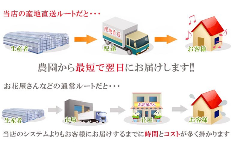 当店の産地直送ルート
