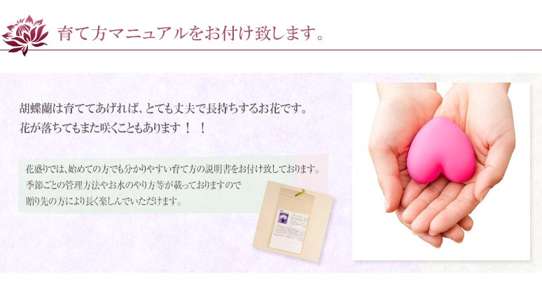 育て方マニュアルをお付け致します
