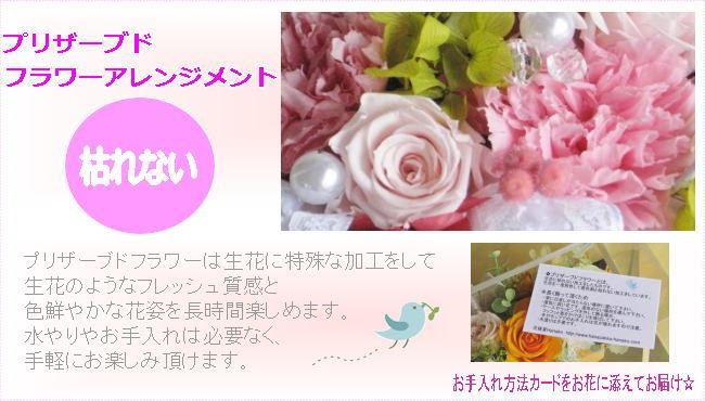 花雑貨 Hanako Yahoo ショッピング