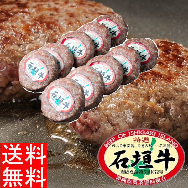 石垣牛 ハンバーグ Sale 93 Off 石垣牛のハンバーグ100g 10個セット 化粧箱入り 1kg