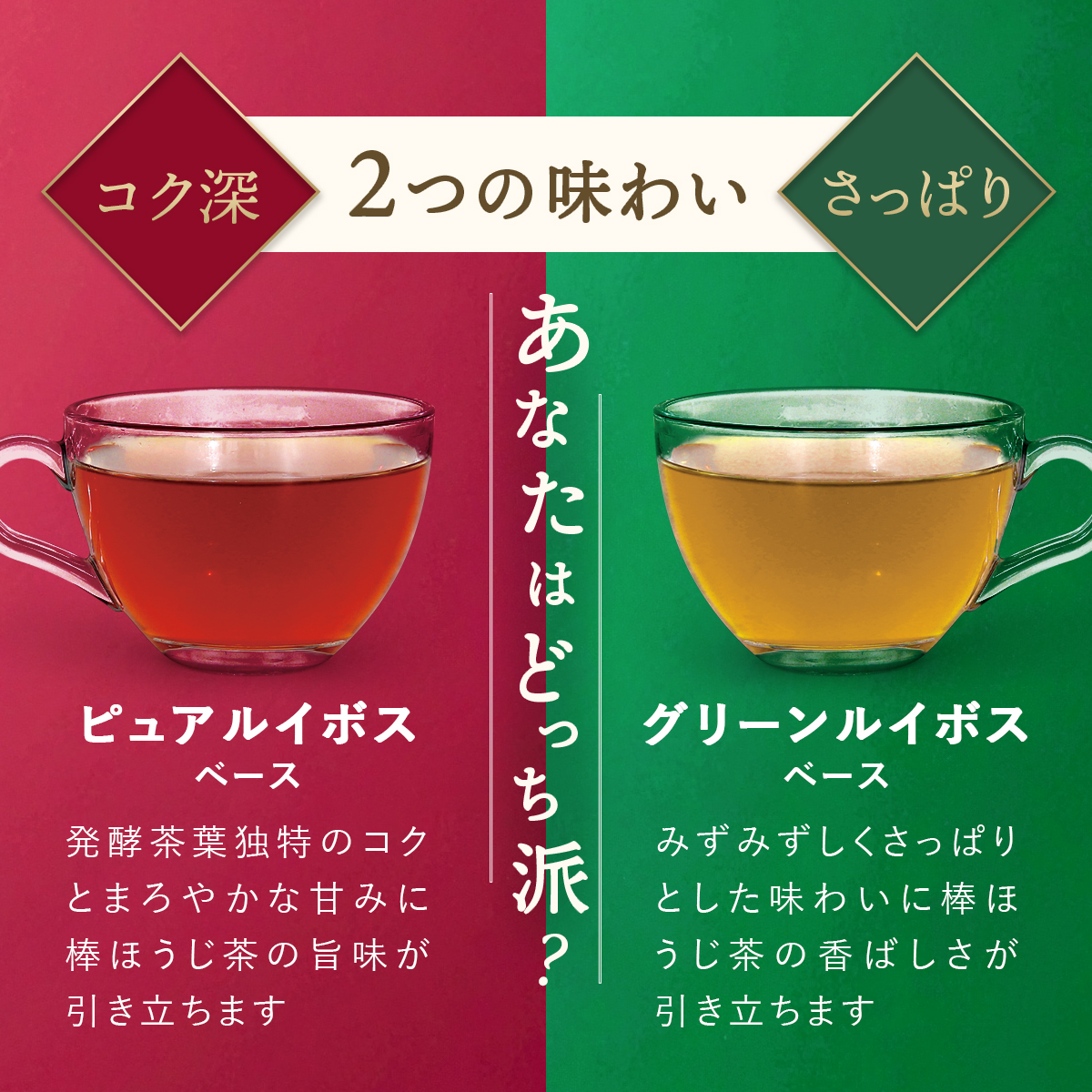 H＆F BELX 棒ほうじ茶 ルイボスティー（グリーン）2.0g×20包