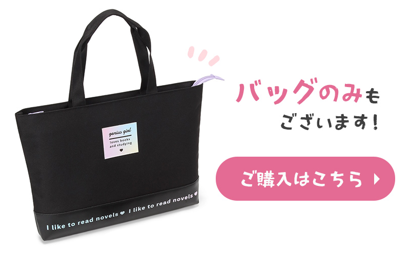 バッグのみ