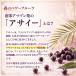 アサイー アサイーパウダー 100g 農薬不使用 甘味料/香料/着色料不使用 残留農薬検査済み アサイーベリー アサイー粉末 アサイーボウル 関連画像2