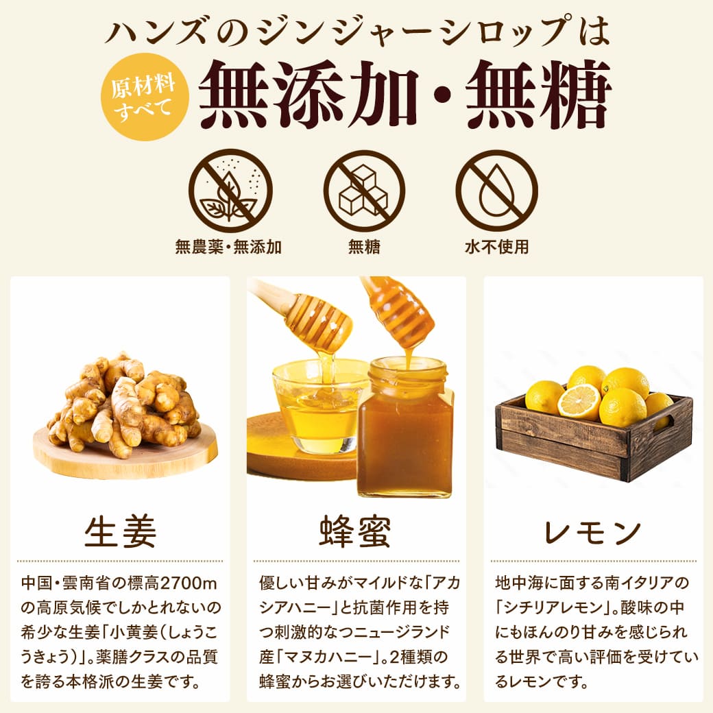 ジンジャーシロップ マヌカハニーストロング&アカシアハニーマイルド 400g×2個 無添加 しょうが 生姜はちみつ 生姜蜂蜜 ジンジャーエールの素 関連画像3
