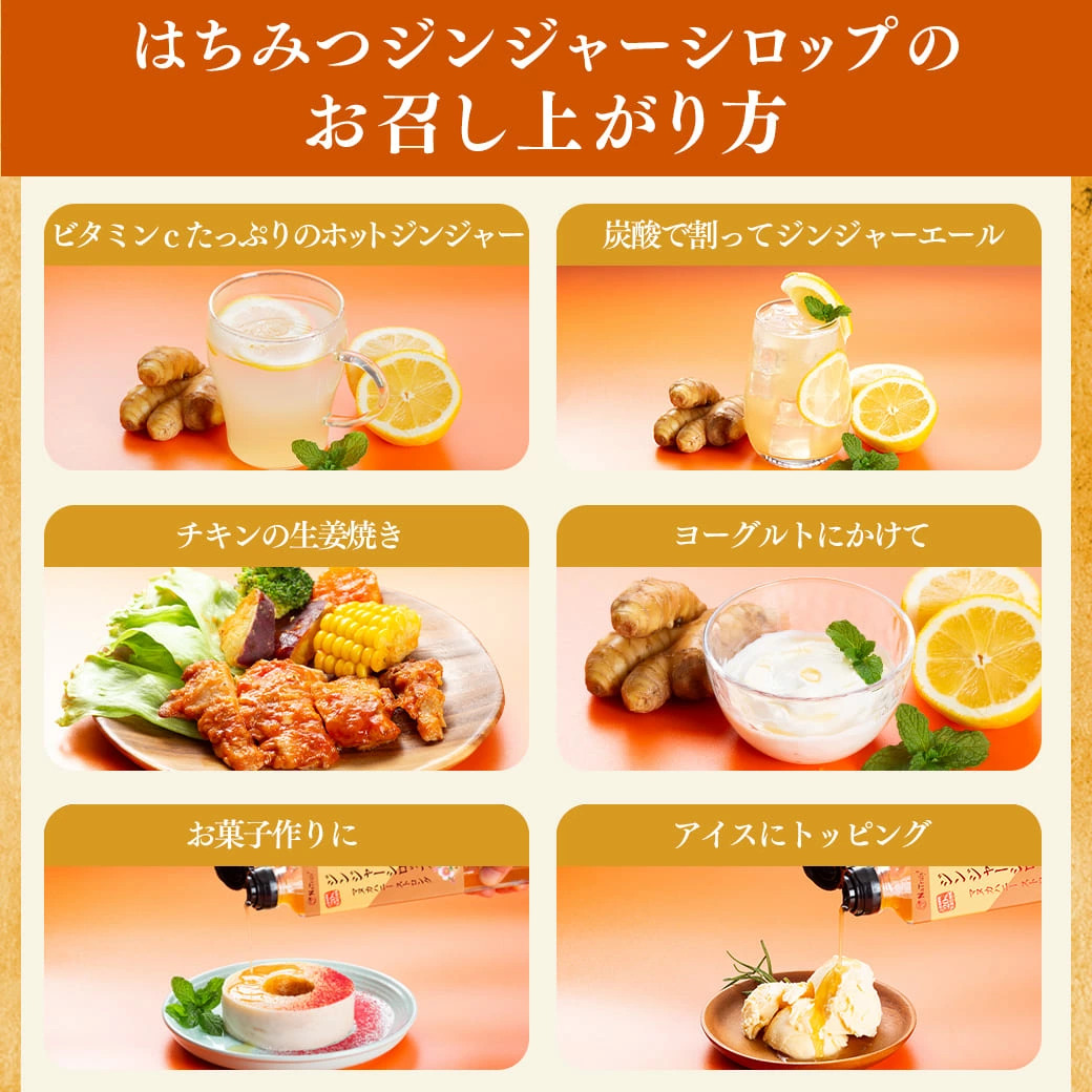 しょうが ジンジャーシロップ マヌカハニーストロング＆アカシアハニーマイルド 400g×2個 無添加 生姜はちみつ 生姜蜂蜜 ジンジャーエールの素 | NaTruly | 19