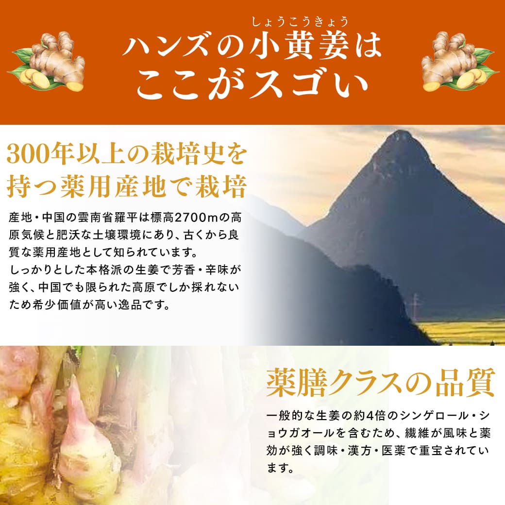 しょうが ジンジャーシロップ マヌカハニーストロング＆アカシアハニーマイルド 400g×2個 無添加 生姜はちみつ 生姜蜂蜜 ジンジャーエールの素 | NaTruly | 09