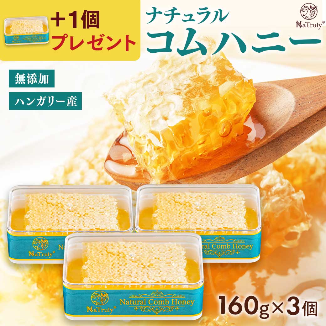 みつばち工房花の道 / 【予約商品7月1日発送】国産純粋 巣みつ