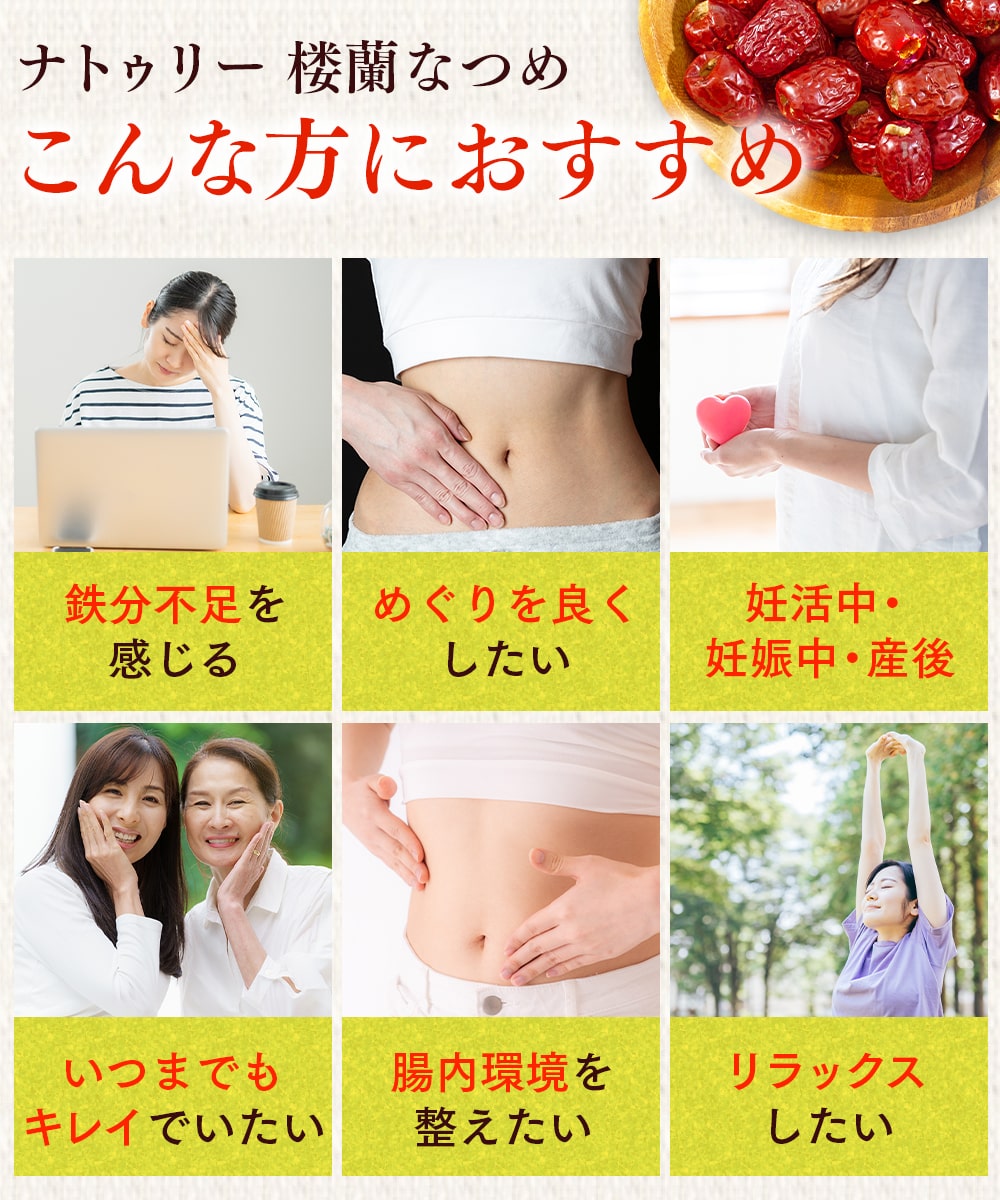 なつめ 無農薬 楼蘭なつめ お試し 2種セット ドライ種なし&チップス 無添加 棗 なつめチップス ナツメ ナトゥリー 関連画像5