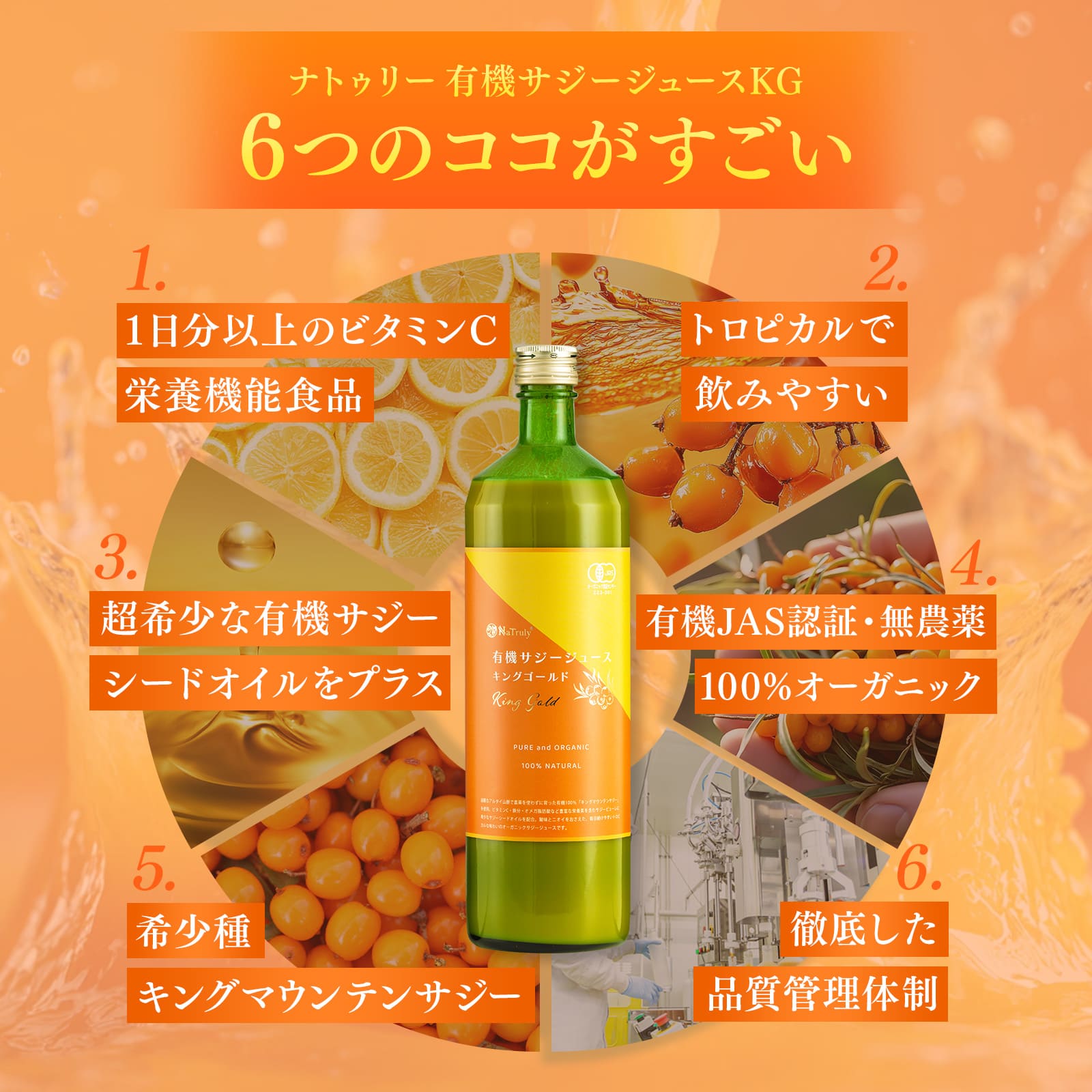NaTruly（ナトゥリー） サジー 有機サジージュース キングゴールド
