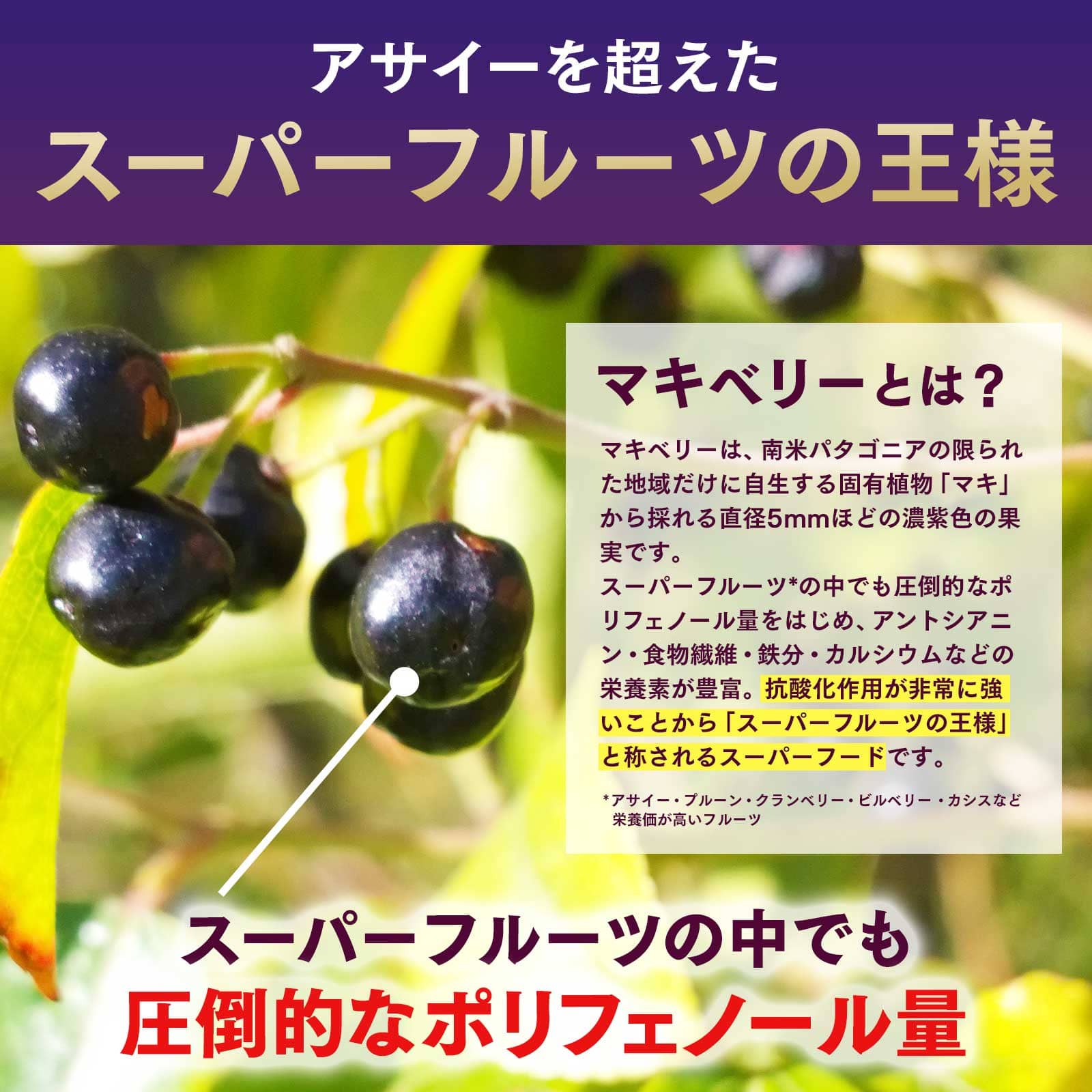 マキベリー 有機マキベリーパウダー100g オーガニック 無農薬 無添加 マキベリー100% 有機JAS認証 アントシアニン ポリフェノール 関連画像5