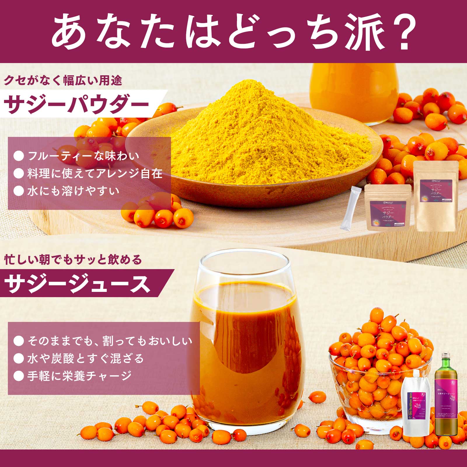 サジー 有機サジーパウダー100g 有機JAS認証 オーガニック 栄養機能食品(ビタミンC) サジー 粉末 サジージュース 沙棘 鉄分補給 関連画像3