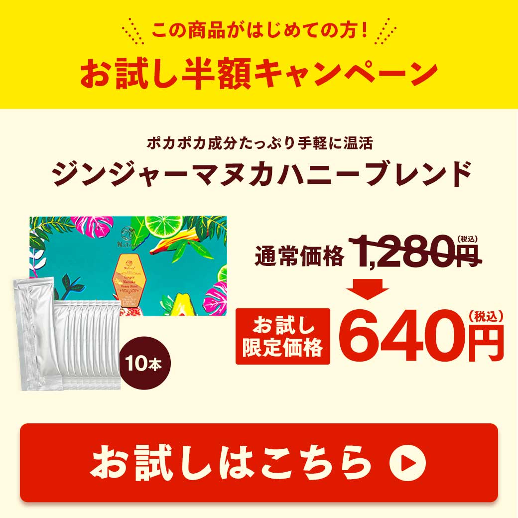 しょうが ジンジャーマヌカハニーブレンド スティック5g×10本 無添加 はちみつ 生姜はちみつ 生姜 ジンジャーハニー 生姜蜂蜜 生姜湯 関連画像1