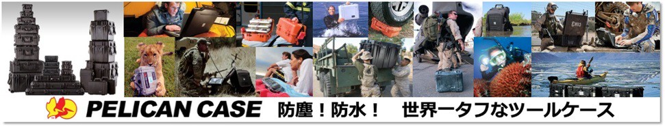 初田  ハツタ  HATSUTA  ABC蓄圧式粉末消火器 10型 PEP-10N リサイクルシール付き ストップ機能付