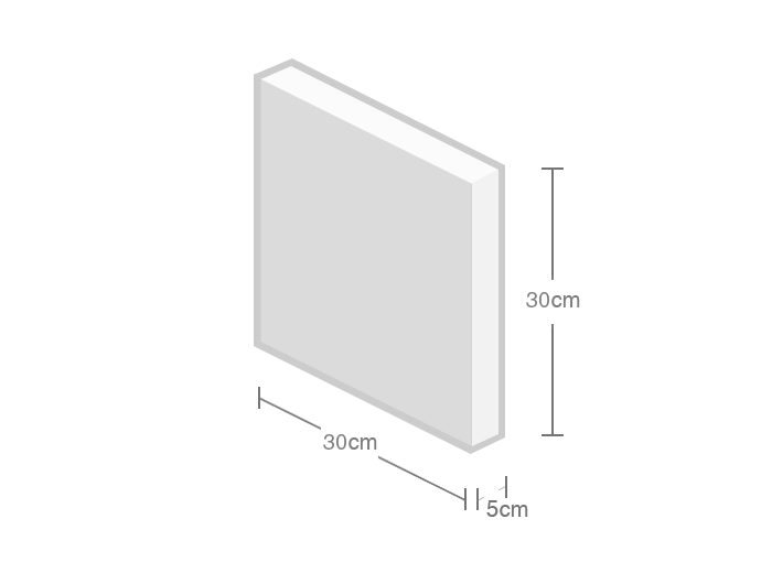 300mm×300mm×50mmの板の発泡スチロール