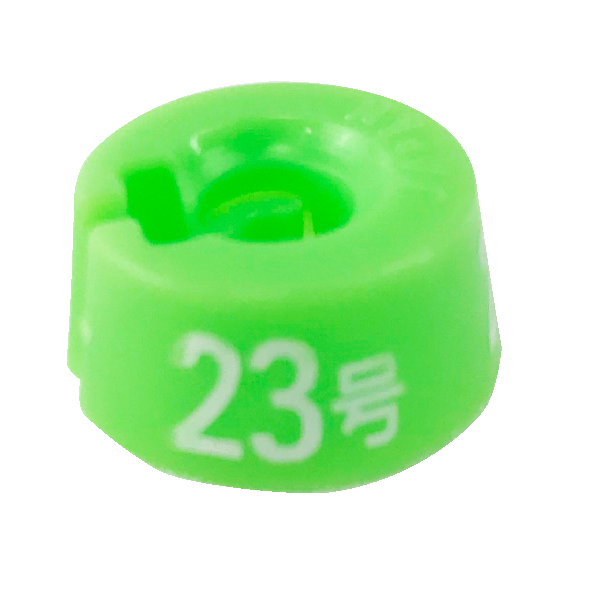 ハンガー用サイズチップ 300個 婦人体型 5号 7号 9号 11号 13号 15号