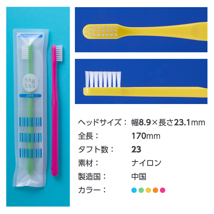 サイズ
