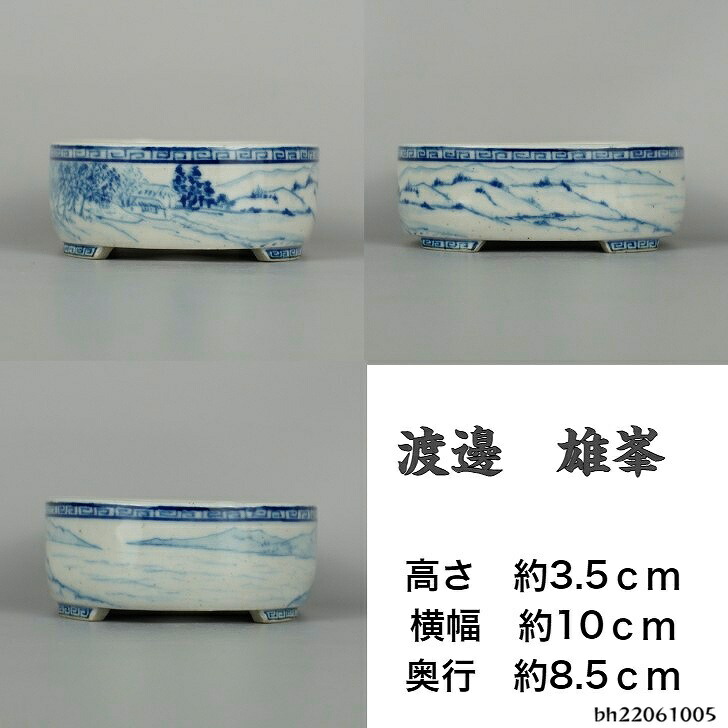 盆栽鉢 渡邊 雄峯 小型 長辺 約10cm 楕円鉢 染付 山水図 観賞用 現品