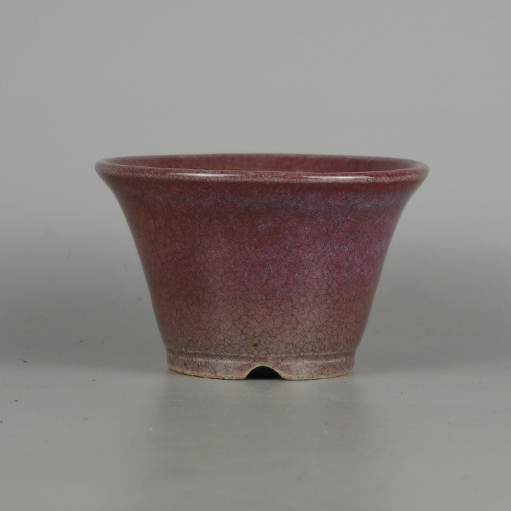 樹晃　長方　盆栽鉢 盆栽鉢 常滑 晃 樹晃 小鉢 長辺 約9.5cm 丸鉢 釉薬 現品 新品 : はニわ