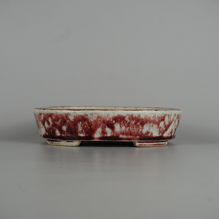 盆栽鉢　鴻陽　中古品 中古】盆栽鉢 常滑 鴻陽陶園 小型 長辺 約 18.5cm 楕円鉢 貫入 釉薬 和