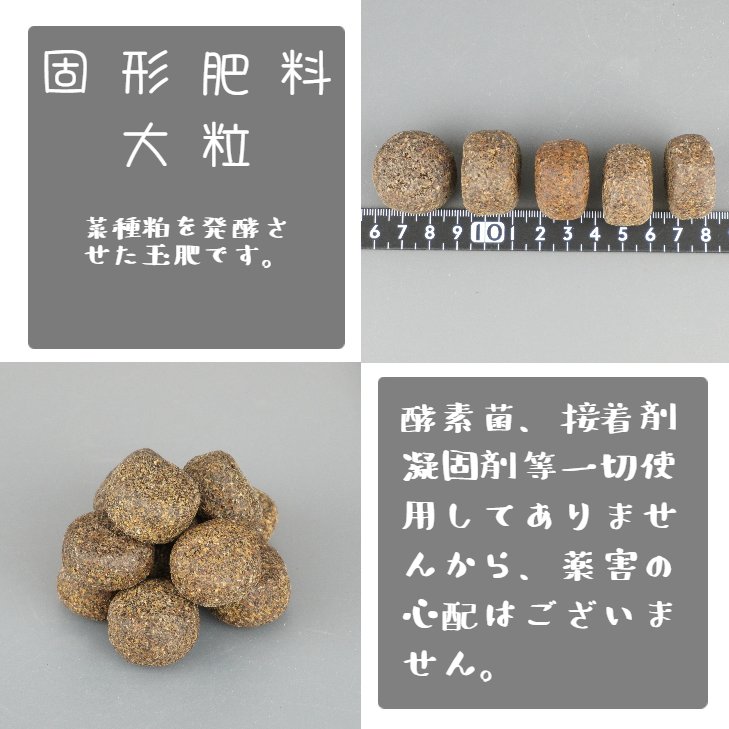 肥料 雅 高級 玉肥 大粒 直径 約 3cm 7kg 盆栽用 手作り 菜種 置き肥