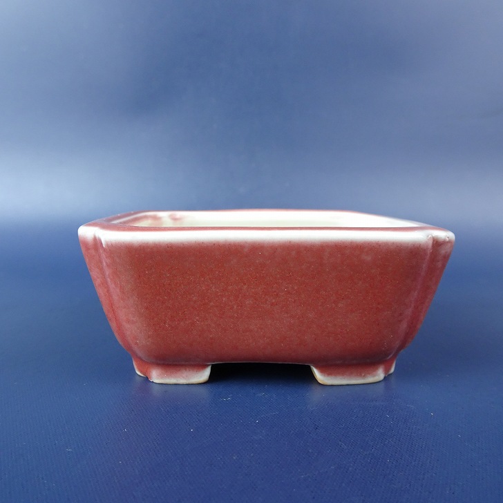 盆栽鉢 常滑 柴勝 小鉢 長辺 約 7.2cm 長方鉢 隅入 釉薬 現品 新品
