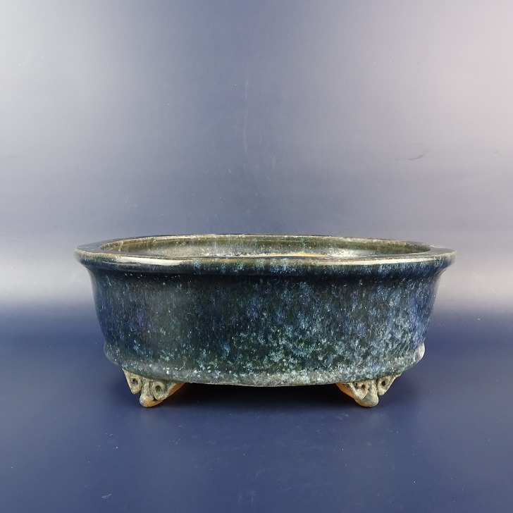 月香 [染付山水図 反縁撫角長方] 15.7cm 中古盆栽