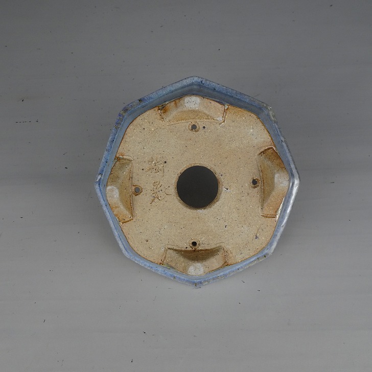 盆栽鉢 常滑 樹晃 小型 長辺 約 13.9cm 八角鉢 外縁 雲足 下帯 釉薬