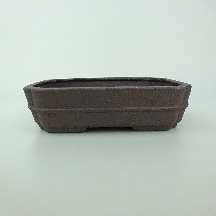 落款有り　長方　青　盆栽鉢 盆栽鉢 青香 小鉢 長辺 約5.8cm 長方鉢 縁付 釉薬