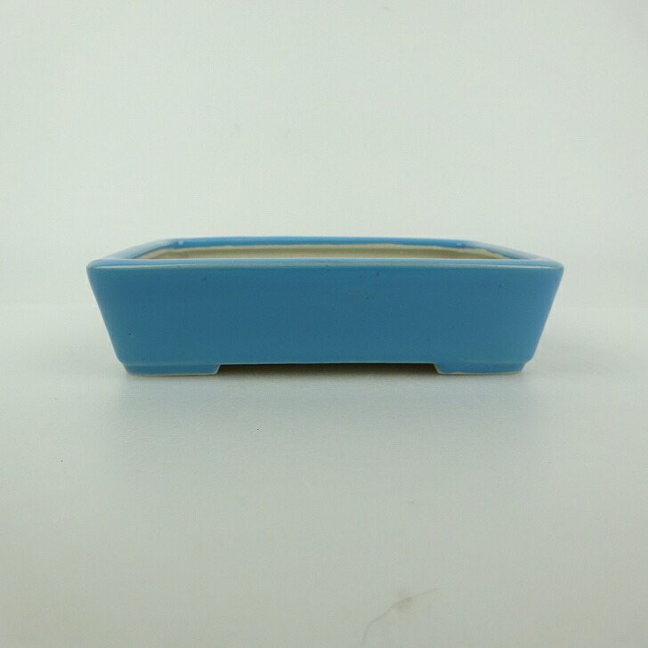美芸　長方　青　盆栽鉢 盆栽 【】 盆栽鉢 青香 小型 長辺 約 12cm 長方鉢 釉薬 現品 鉢