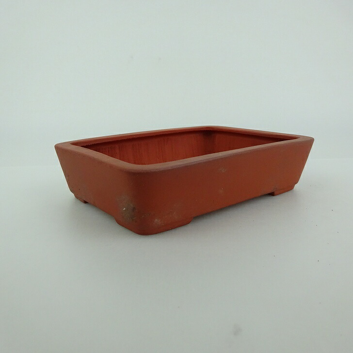 青香　長方　盆栽鉢 青香長方盆栽鉢