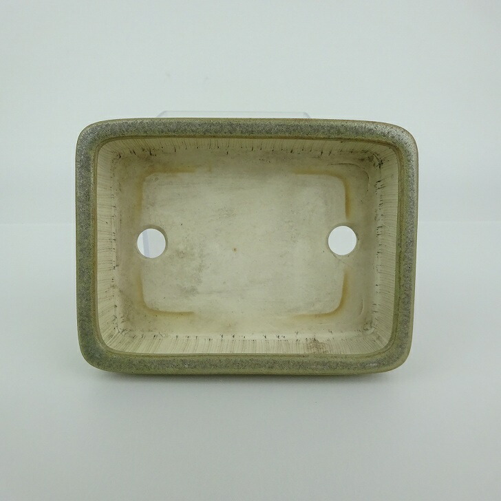 盆栽 【】 盆栽鉢 青香 小型 長辺 約 12cm 長方鉢 釉薬 現品 鉢