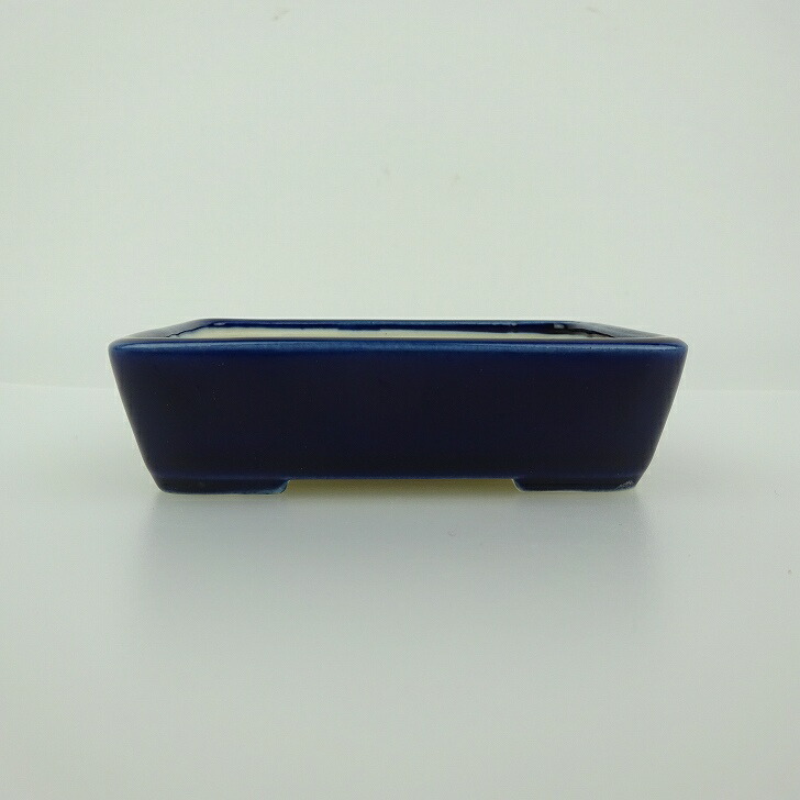 盆栽鉢 青香 小鉢 長辺 約9.3cm 長方鉢 釉薬 現品 : はニわ株式会社