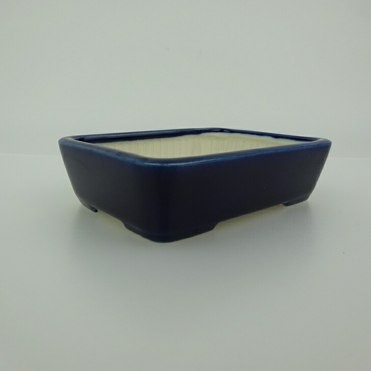 青香　長方　盆栽鉢 盆栽鉢 青香 小鉢 長辺 約9.3cm 長方鉢 釉薬 現品 : はニわ株式会社