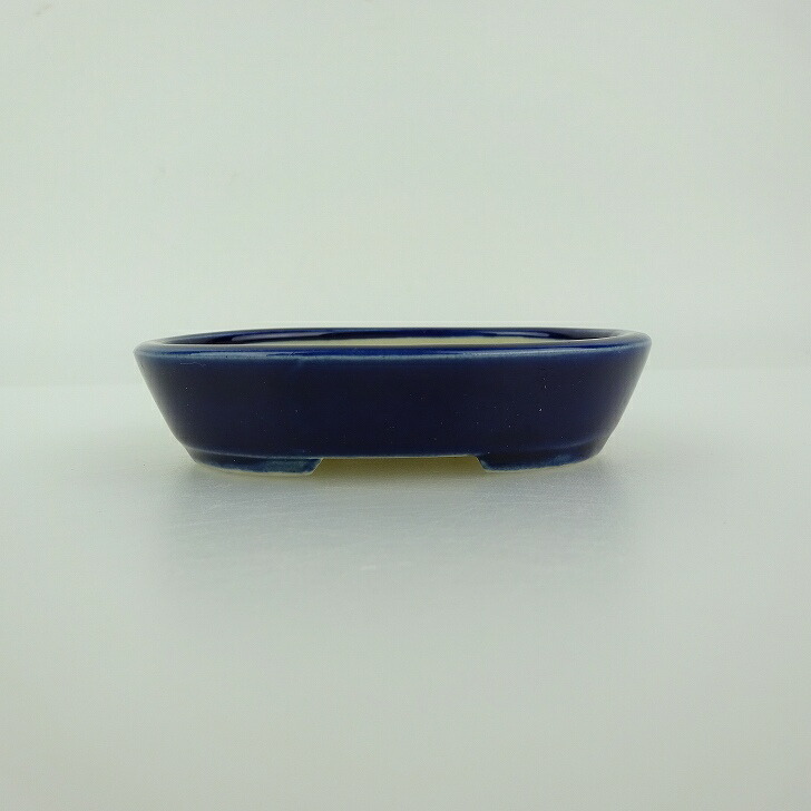 盆栽鉢 青香 小鉢 長辺 約8.4cm 楕円鉢 釉薬 現品 鉢 楽天